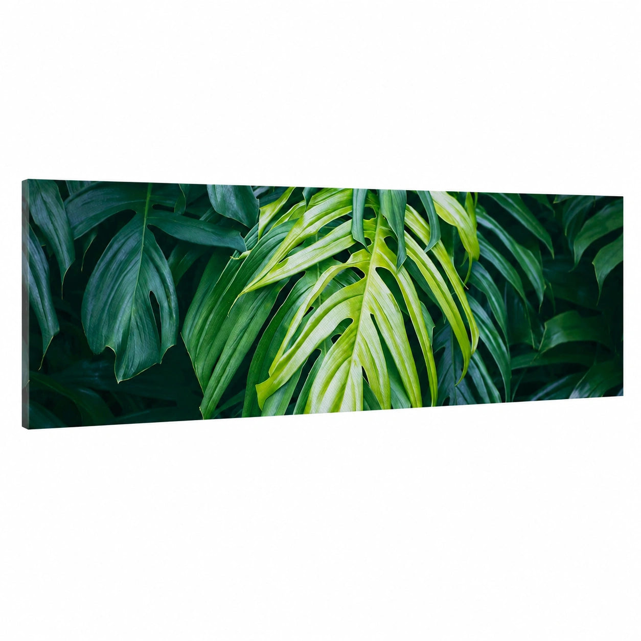 Tela Decorativa Fiore Naturale 160x50cm per Soggiorno e Cucina
